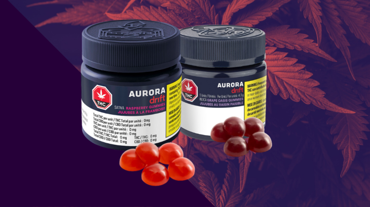 Shiny Bud Picks: The Edibles You Should Try